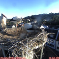 06_40-nest.jpg