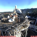 07_00-nest.jpg