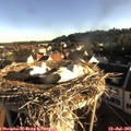 07_15-nest.jpg