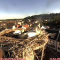 07_25-nest.jpg