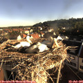 07_30-nest.jpg