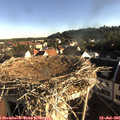 07_35-nest.jpg