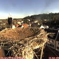 07_40-nest.jpg