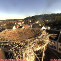 07_45-nest.jpg