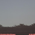 07_50-mast.jpg