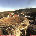 07_50-nest.jpg