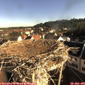 08_00-nest.jpg