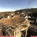 08_10-nest.jpg