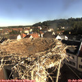 08_20-nest.jpg