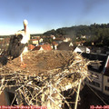 08_40-nest.jpg