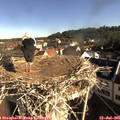 08_45-nest.jpg