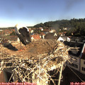 08_50-nest.jpg