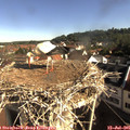 08_55-nest.jpg