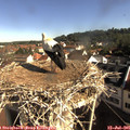 09_00-nest.jpg