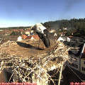 09_05-nest.jpg