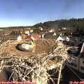 09_10-nest.jpg