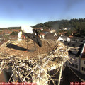 09_15-nest.jpg