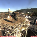 09_20-nest.jpg