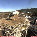 09_25-nest.jpg