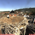 09_30-nest.jpg