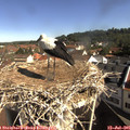 09_35-nest.jpg