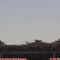 09_40-mast.jpg