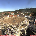 09_40-nest.jpg