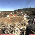 09_45-nest.jpg