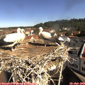 10_00-nest.jpg