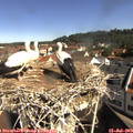 10_05-nest.jpg