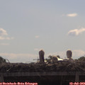 10_30-mast.jpg