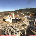 10_30-nest.jpg