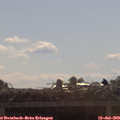 10_35-mast.jpg