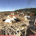 10_35-nest.jpg