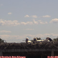 10_40-mast.jpg