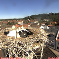 10_40-nest.jpg