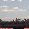 10_45-mast.jpg