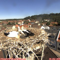 10_45-nest.jpg