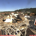 10_50-nest.jpg
