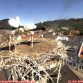 11_00-nest.jpg