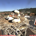 11_15-nest.jpg