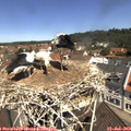 11_25-nest.jpg
