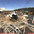 11_30-nest.jpg