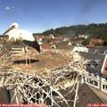 11_45-nest.jpg