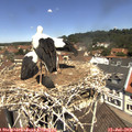 12_00-nest.jpg