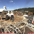 12_05-nest.jpg
