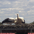 12_15-mast.jpg