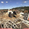 12_15-nest.jpg