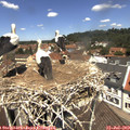 12_20-nest.jpg