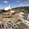 12_30-nest.jpg